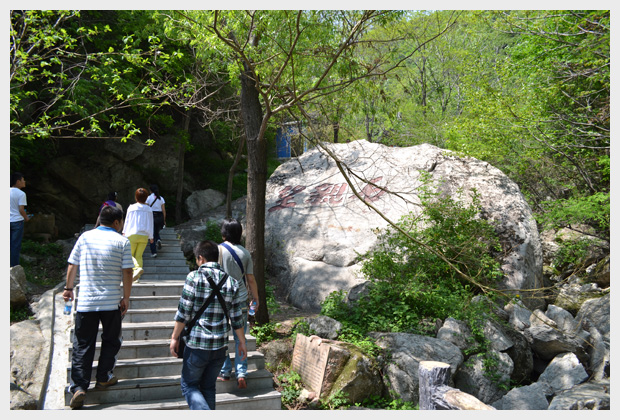 2012年5月5日王顺山森林公园户外拓展活动