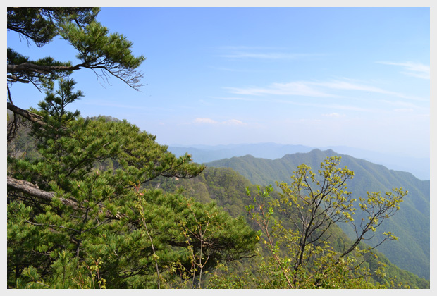 2012年5月5日王顺山森林公园户外拓展活动