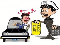 青海公布8起酒驾醉驾交通事故典型案例