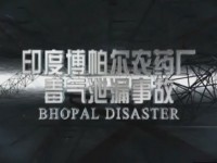 印度博帕尔农药厂毒气泄漏事故