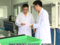 安全教育微视频《回家》