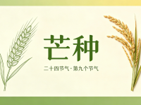 今日芒种｜暴雨+高温，安全勿松懈